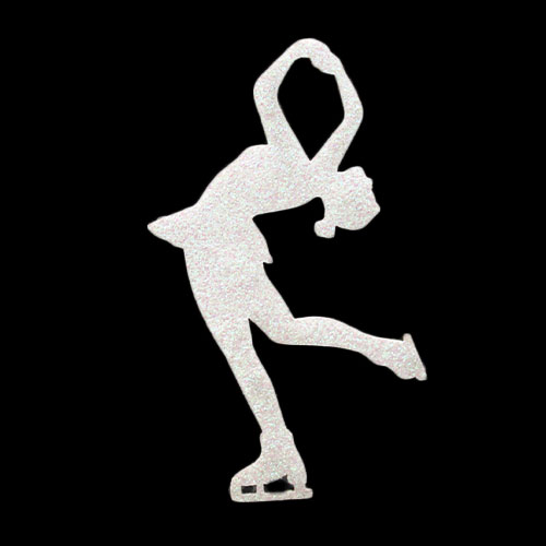 Bordado skater