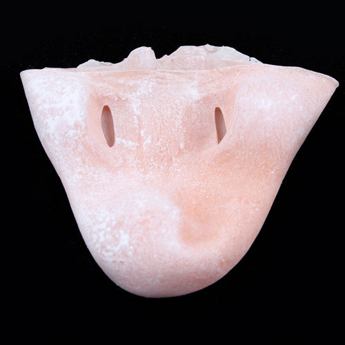 Prostético de nariz Mod. 5 Augusto