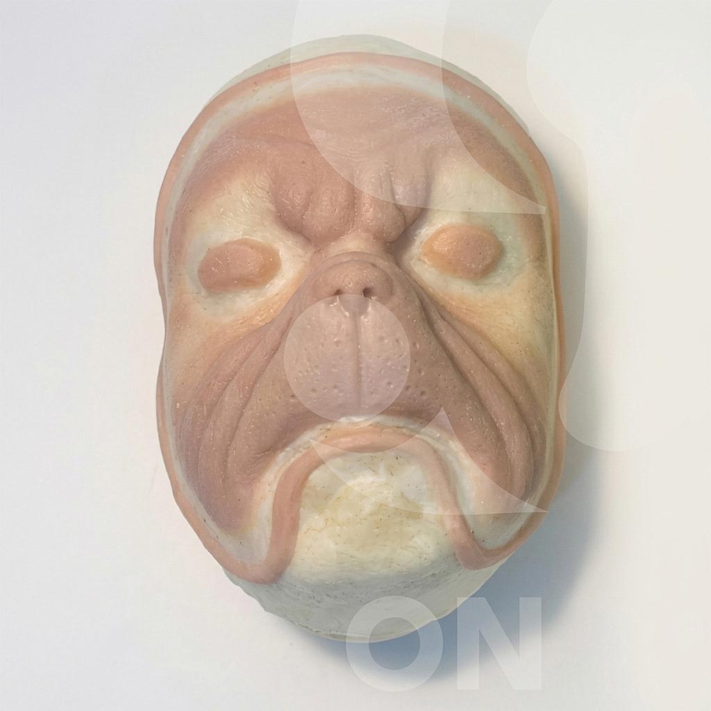 (ONSET) Prostético Grinch (silicón)