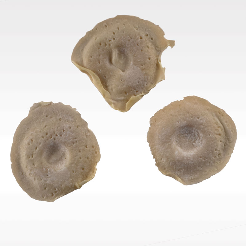 Prostético de balazo Mod. 5