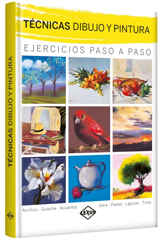 Técnicas Dibujo y Pintura