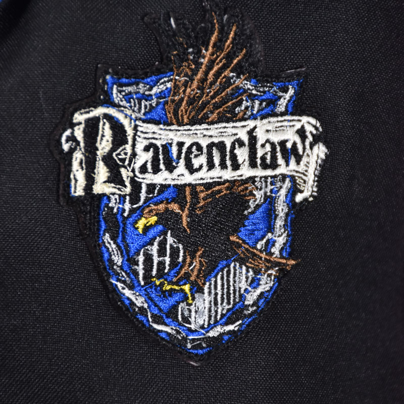 Capa Ravenclaw_1